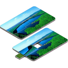 USB Drives Card Flip